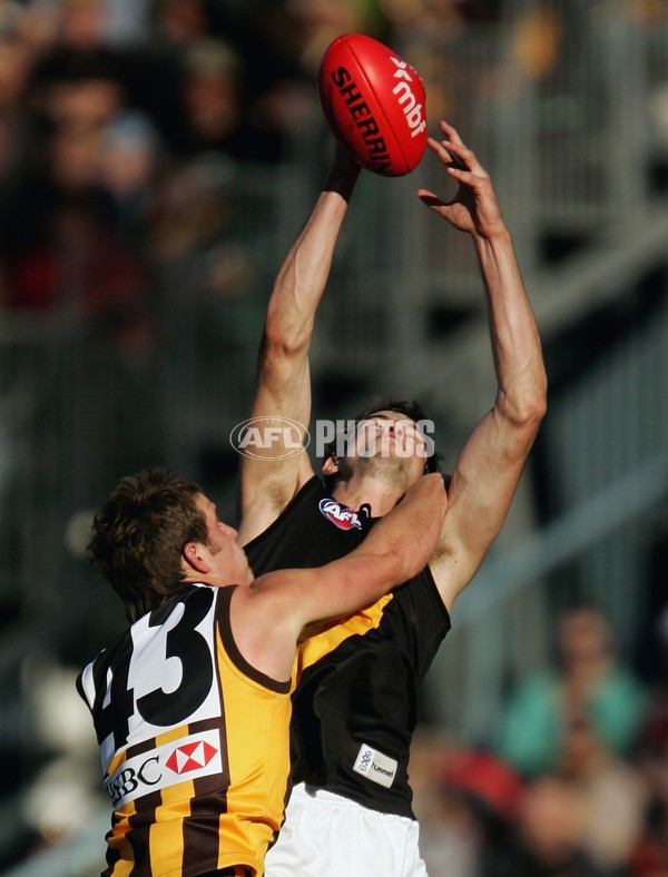 AFL 2006 Rd 12 - Hawthorn v Richmond - 41244