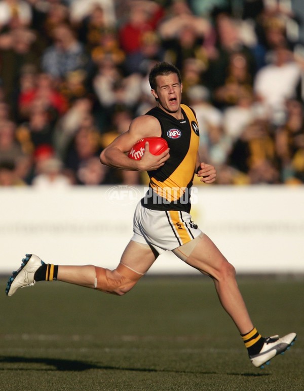 AFL 2006 Rd 12 - Hawthorn v Richmond - 41258