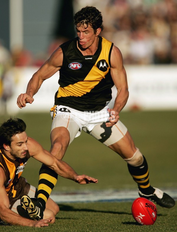 AFL 2006 Rd 12 - Hawthorn v Richmond - 41254