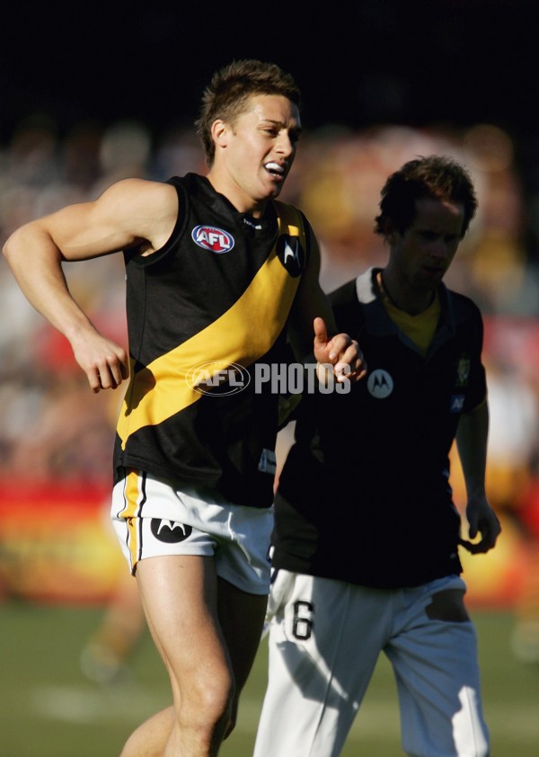 AFL 2006 Rd 12 - Hawthorn v Richmond - 41242