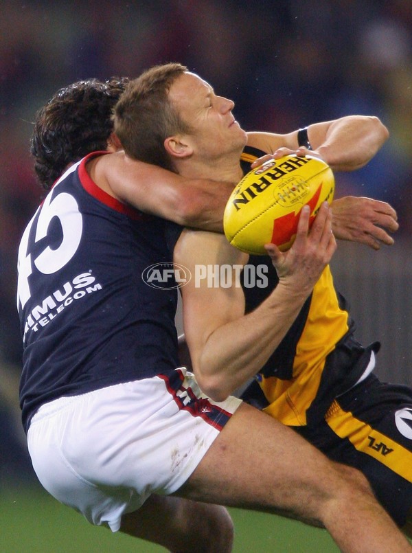 AFL 2006 Rd 15 - Richmond v Melbourne - 41337
