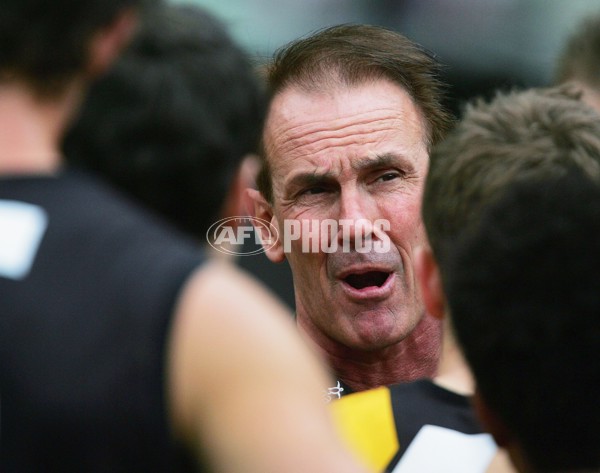 AFL 2006 Rd 17 - St Kilda v Richmond - 41379