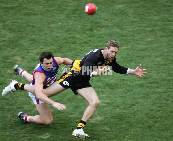 AFL 2006 Rd 18 - Richmond v Western Bulldogs - 41397