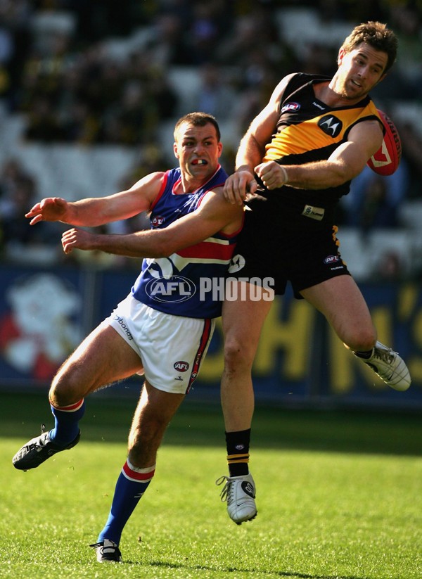AFL 2006 Rd 18 - Richmond v Western Bulldogs - 41396