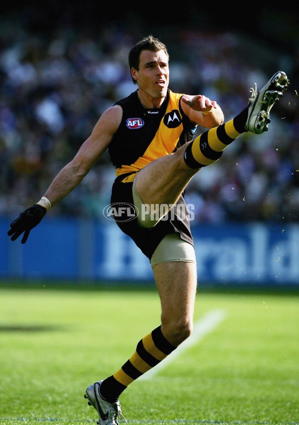 AFL 2006 Rd 18 - Richmond v Western Bulldogs - 41413