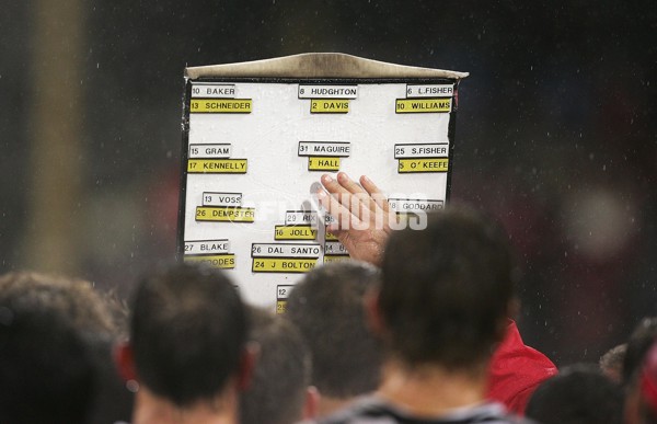 AFL 2006 Rd 11 - Sydney Swans v St Kilda - 41950