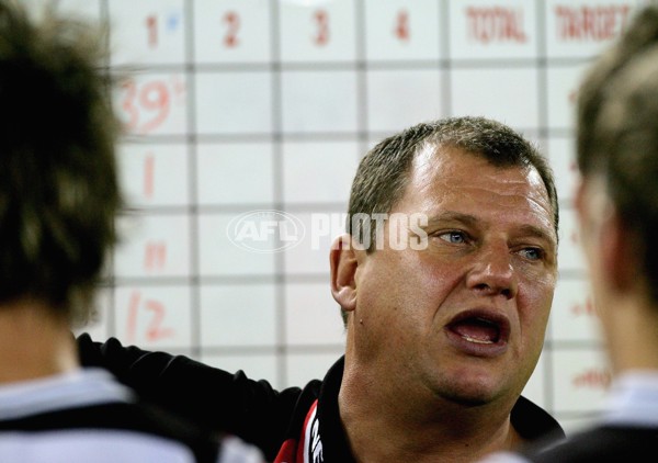 AFL 2006 Rd 12 - St Kilda v Adelaide Crows - 41988
