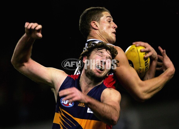 AFL 2006 Rd 12 - St Kilda v Adelaide Crows - 41991