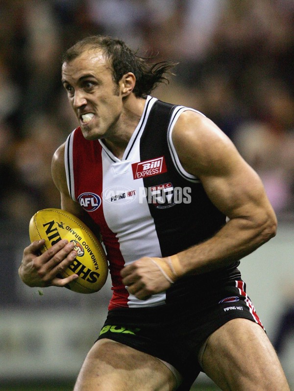 AFL 2006 Rd 12 - St Kilda v Adelaide Crows - 41986
