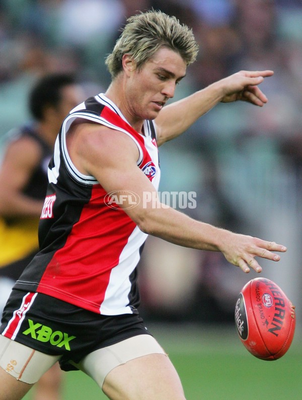 AFL 2006 Rd 17 - St Kilda v Richmond - 42159