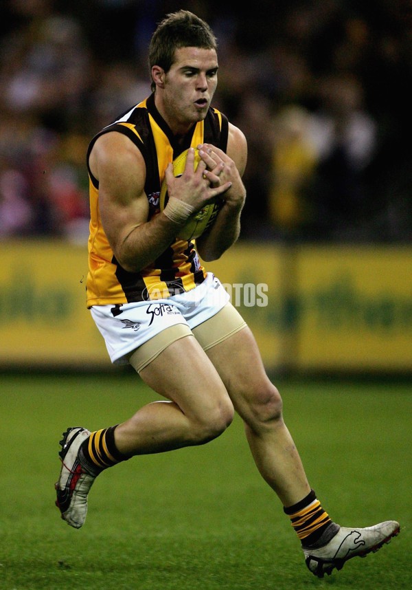 AFL 2006 Rd 10 - Western Bulldogs v Hawthorn - 42351