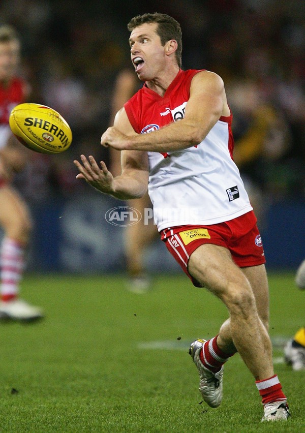 AFL 2006 Rd 7 - Richmond v Sydney Swans - 42894