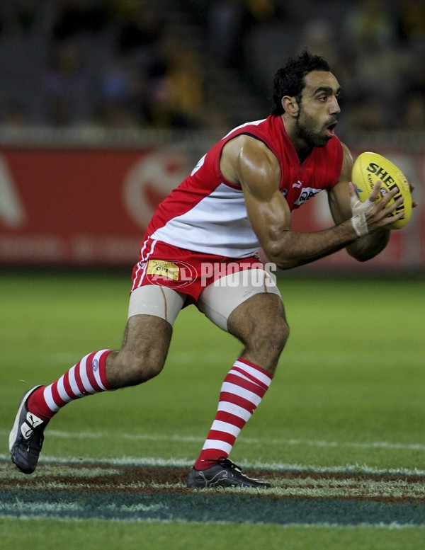 AFL 2006 Rd 9 - Hawthorn v Sydney Swans - 42955