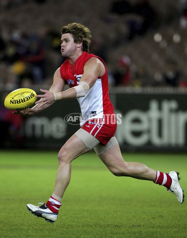 AFL 2006 Rd 9 - Hawthorn v Sydney Swans - 42947