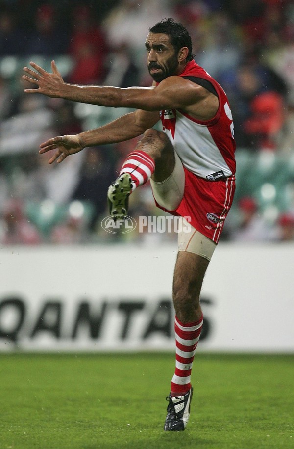 AFL 2006 Rd 11 - Sydney Swans v St Kilda - 43036