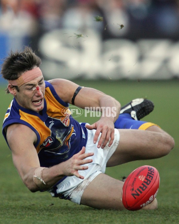 AFL 2006 Rd 10 - Geelong v West Coast - 44065