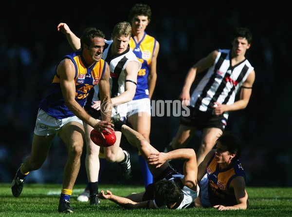AFL 2006 Rd 16 - Collingwood v West Coast Eagles - 44203