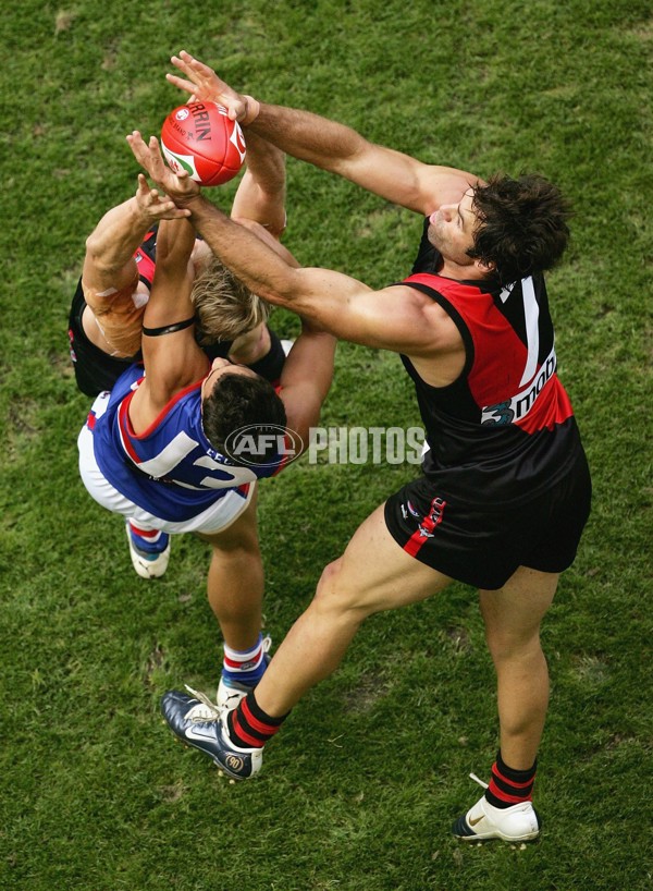 AFL 2006 Rd 3 - Essendon v Western Bulldogs - 44817