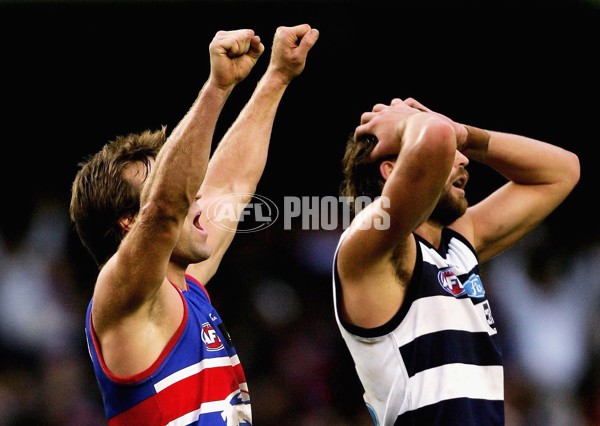 AFL 2006 Rd 4 - Western Bulldogs v Geelong - 44845