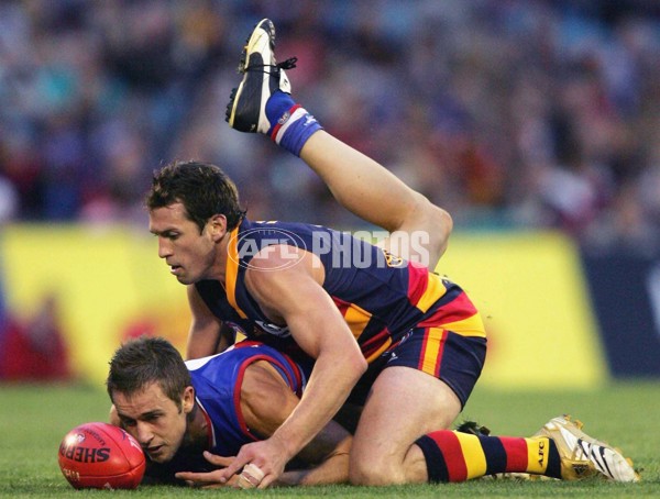 AFL 2006 Rd 5 - Adelaide Crows v Western Bulldogs - 44885
