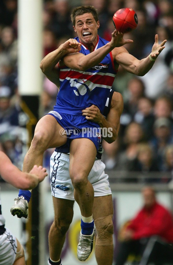 AFL 2006 Rd 4 - Western Bulldogs v Geelong - 44838