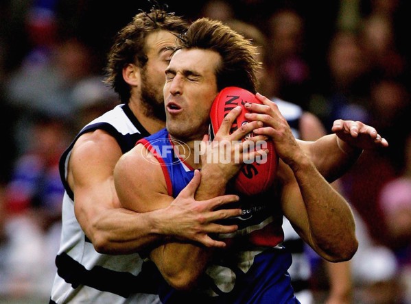 AFL 2006 Rd 4 - Western Bulldogs v Geelong - 44854