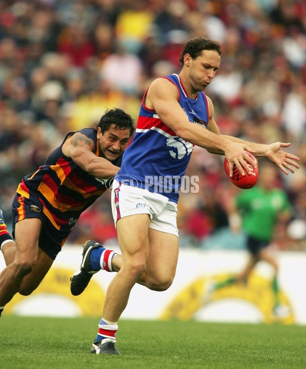 AFL 2006 Rd 5 - Adelaide Crows v Western Bulldogs - 44889