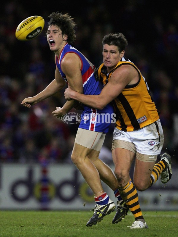 AFL 2006 Rd 10 - Western Bulldogs v Hawthorn - 45016