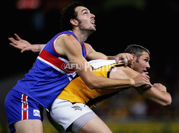 AFL 2006 Rd 10 - Western Bulldogs v Hawthorn - 45008