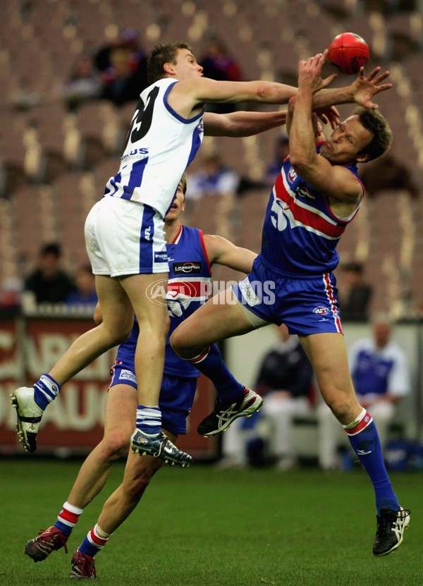 AFL 2006 Rd 14 - Western Bulldogs v Kangaroos - 45140