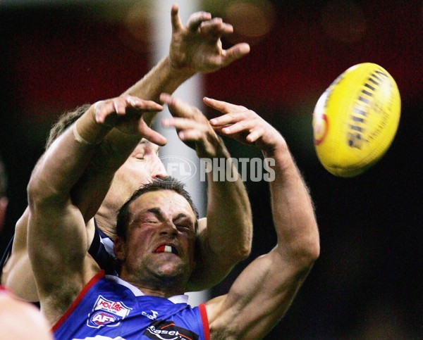 AFL 2006 Rd 16 - Geelong v Western Bulldogs - 45194