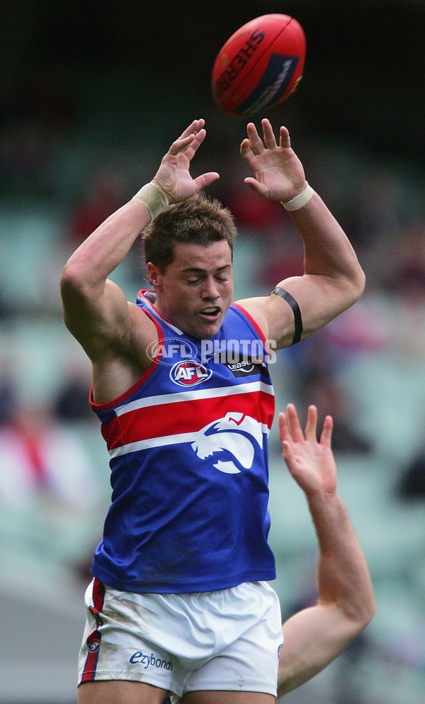 AFL 2006 Rd 17 - Melbourne v Western Bulldogs - 45234