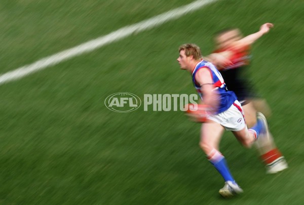 AFL 2006 Rd 17 - Melbourne v Western Bulldogs - 45230