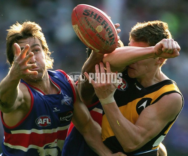 AFL 2006 Rd 18 - Richmond v Western Bulldogs - 45277