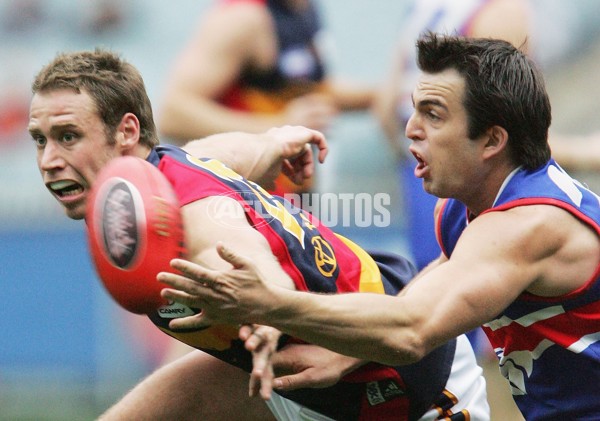 AFL 2006 Rd 20 - Western Bulldogs v Adelaide Crows - 45307