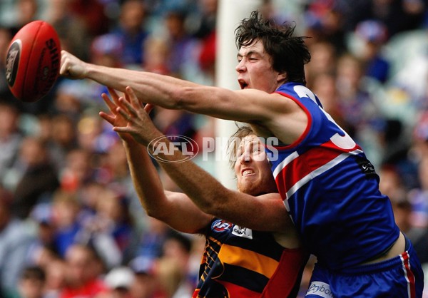 AFL 2006 Rd 20 - Western Bulldogs v Adelaide Crows - 45330