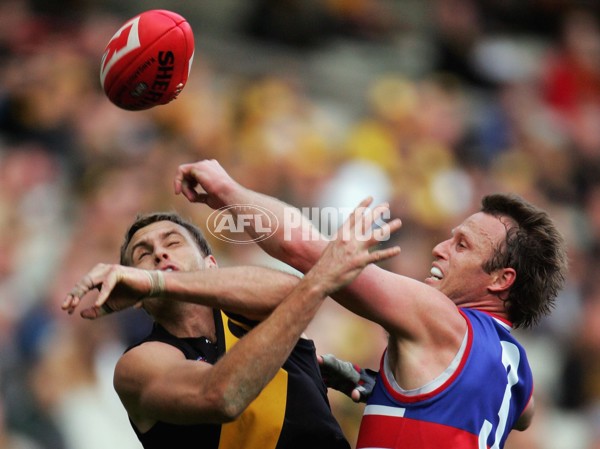 AFL 2006 Rd 18 - Richmond v Western Bulldogs - 45260