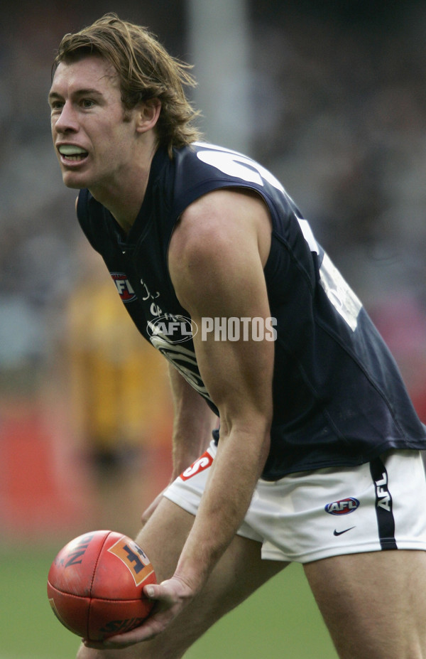 AFL 2005 Rd 17 - Hawthorn v Carlton - 49831