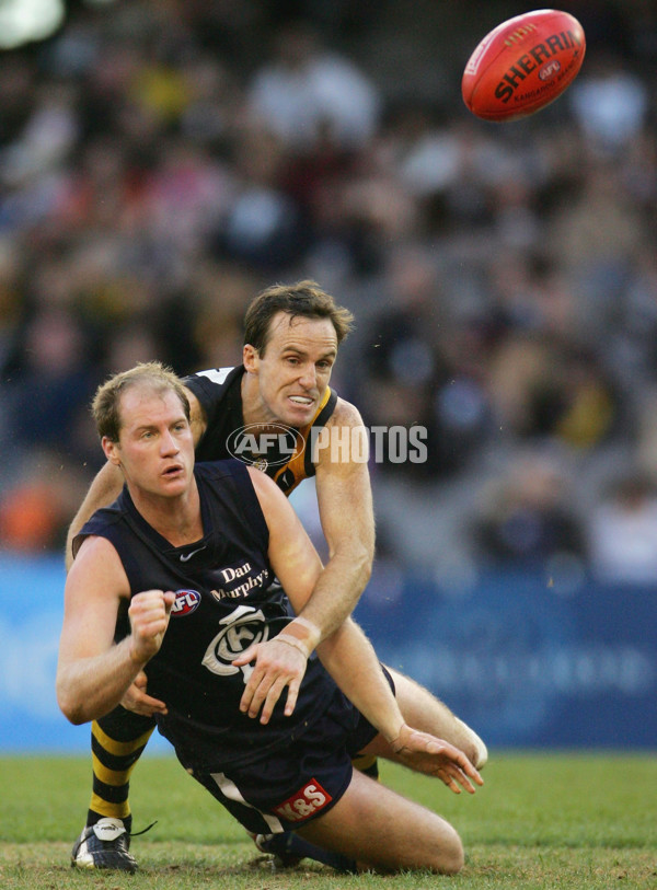 AFL 2005 Rd 18 - Carlton v Richmond - 49859