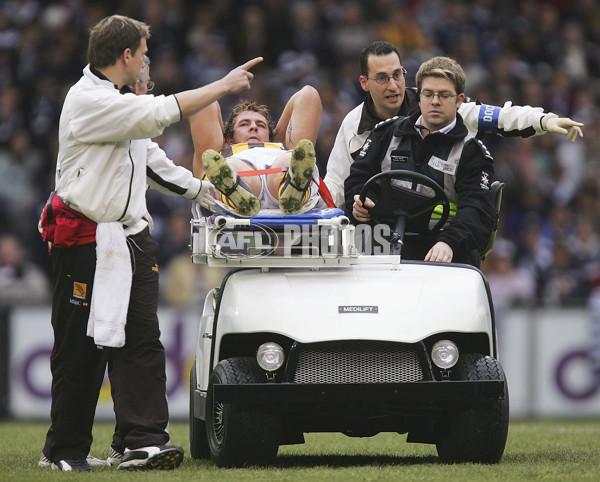 AFL 2005 Rd 14 - Geelong v Hawthorn - 52688