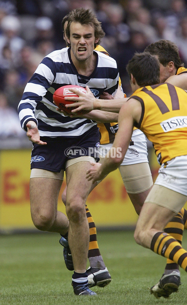 AFL 2005 Rd 14 - Geelong v Hawthorn - 52691