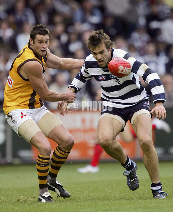 AFL 2005 Rd 14 - Geelong v Hawthorn - 52692