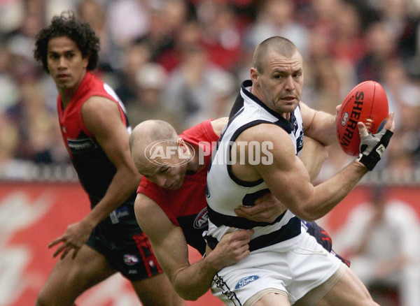 AFL 2005 2nd Elimination Final - Geelong v Melbourne - 52935