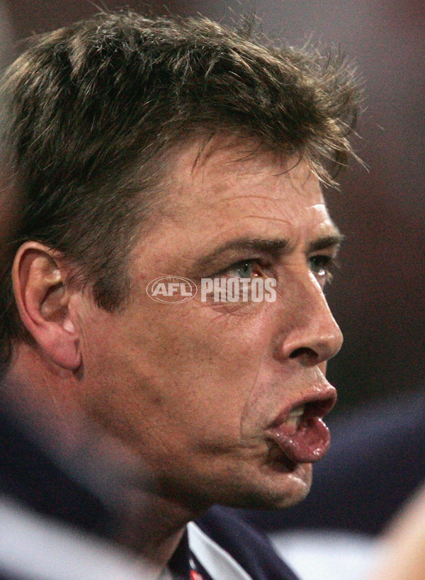 AFL 2005 2nd Semi-Final - Sydney v Geelong - 52982