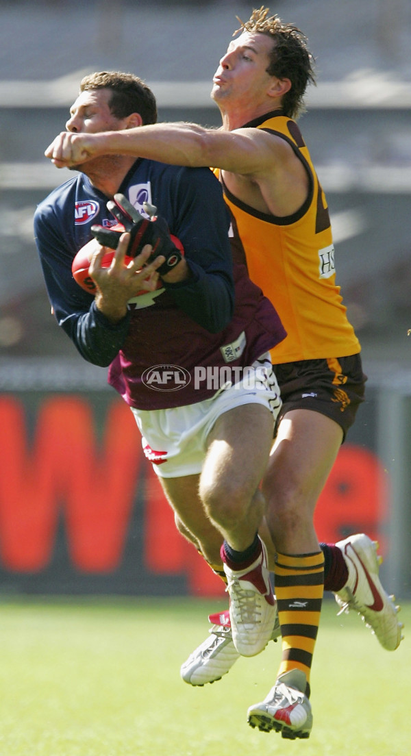 AFL 2005 Rd 4 - Hawthorn v Brisbane - 54345