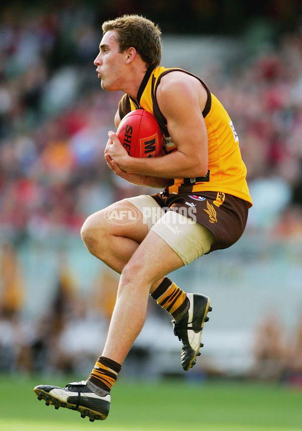 AFL 2005 Rd 8 - Hawthorn v Melbourne - 54605