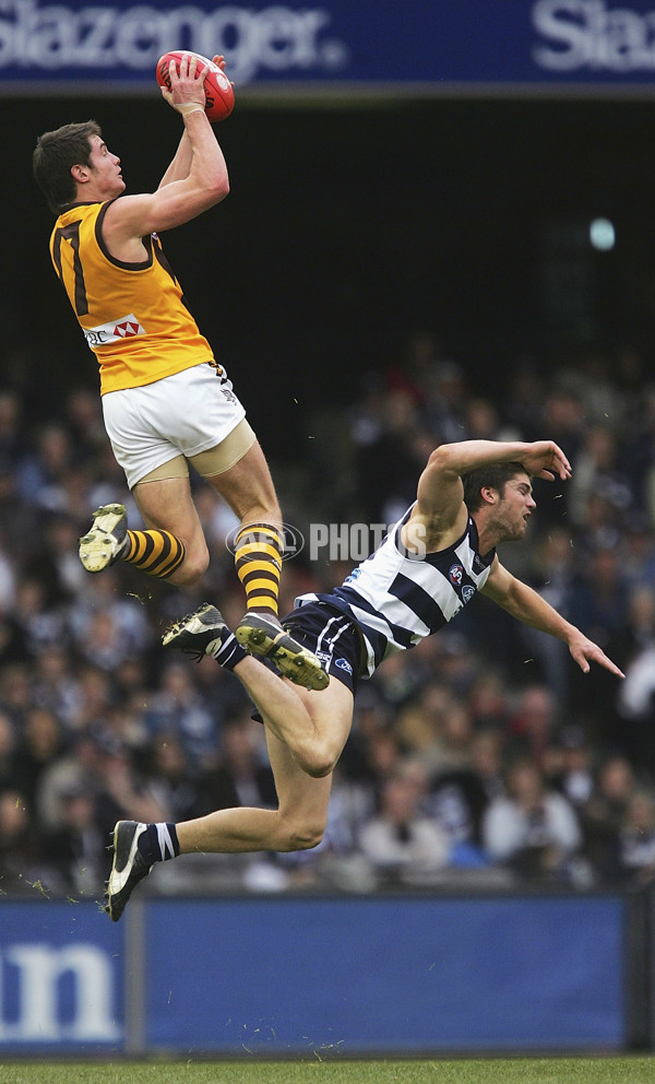 AFL 2005 Rd 13 - Geelong v Hawthorn - 54805