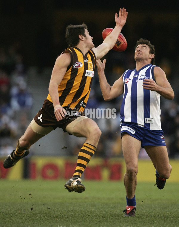 AFL 2005 Rd 16 - Hawthorn v Kangaroos - 54846