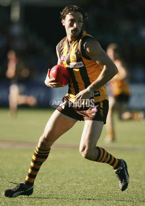 AFL 2005 Rd 15 - Hawthorn v Adelaide - 54828