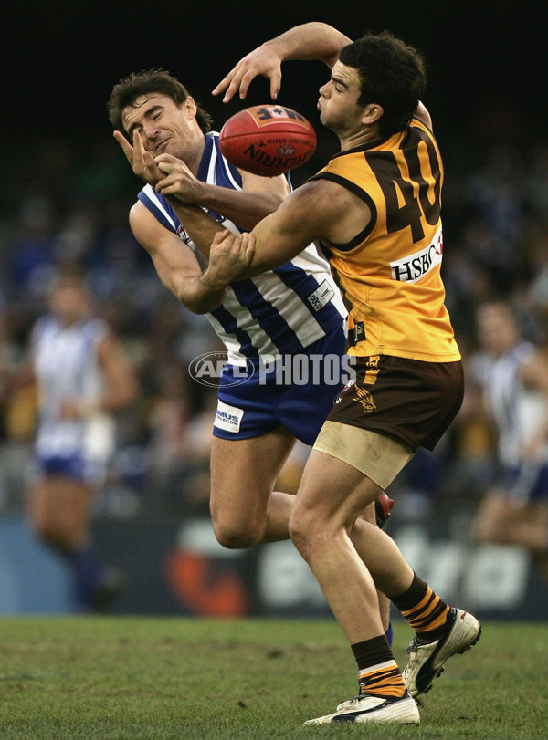 AFL 2005 Rd 16 - Hawthorn v Kangaroos - 54847